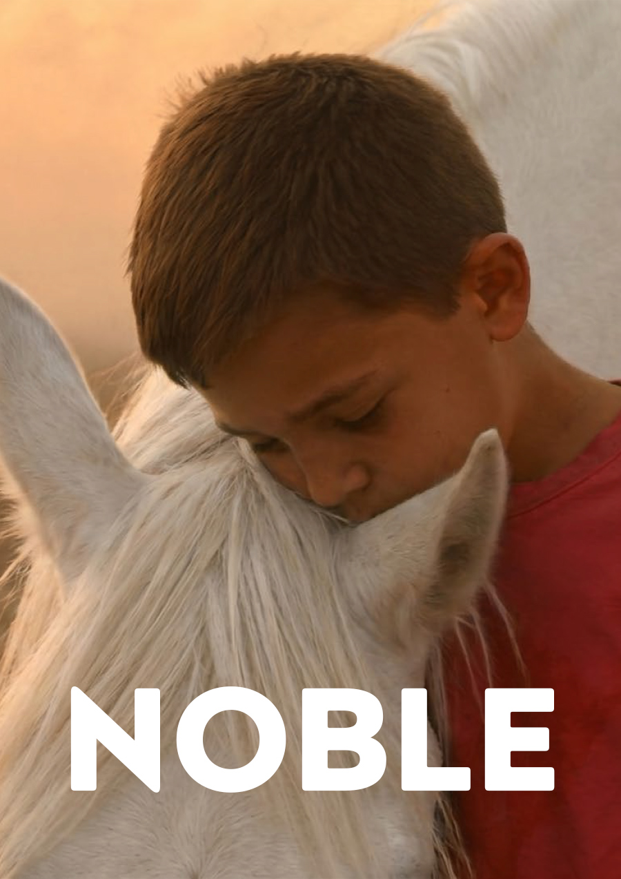 cartel-NOBLE
